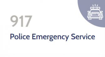 helplines-917-police